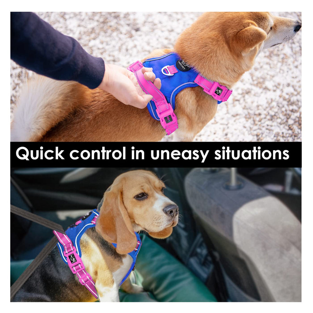 PHOEPET clips metálicos para mayor durabilidad y sujeción segura.