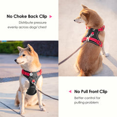 PHOEPET clips metálicos duraderos para un ajuste seguro.