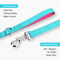 PHOEPET correa compatible con arnés para caminatas coordinadas.