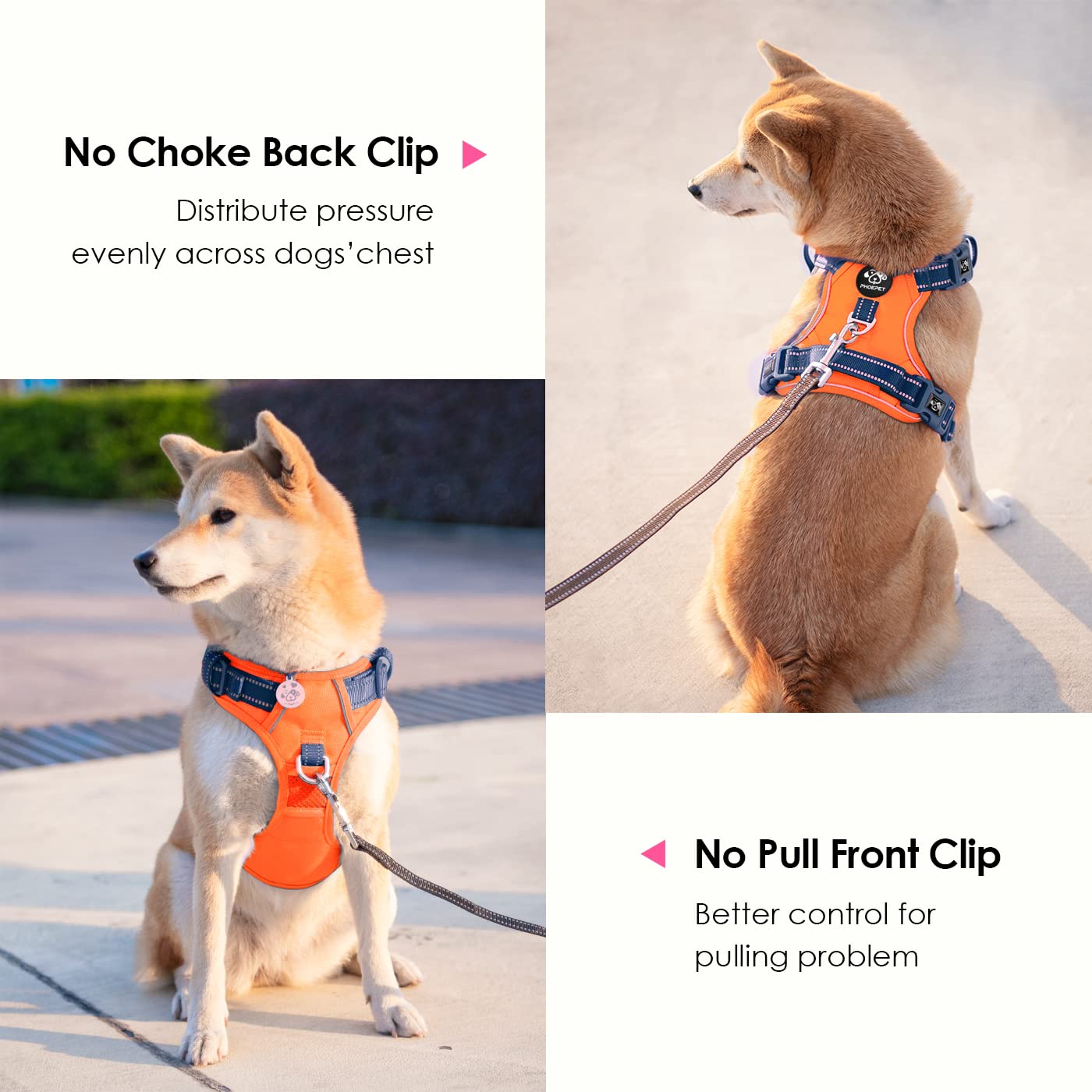 PHOEPET correas ajustables para un ajuste perfecto en distintas tallas.