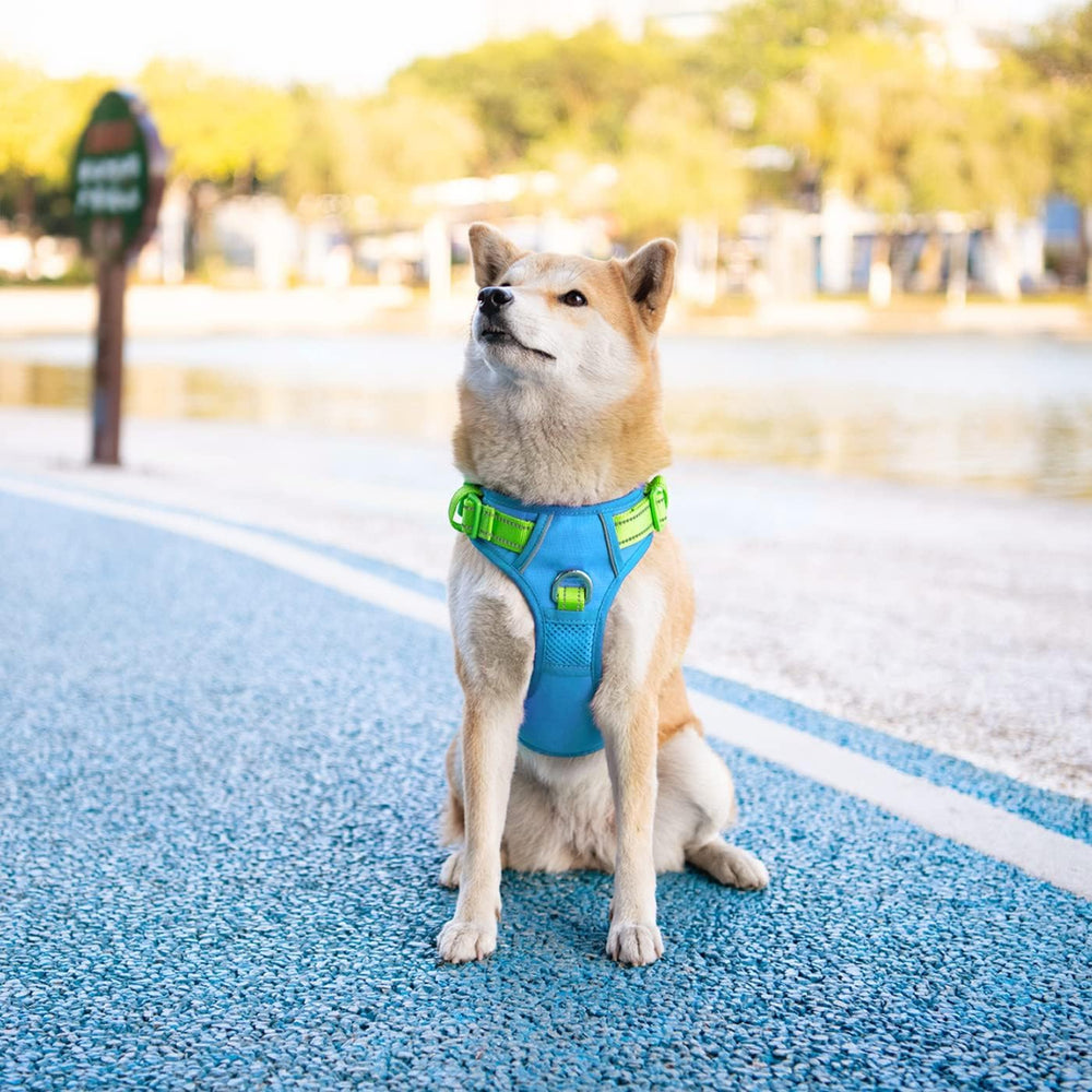 PHOEPET diseño ligero y cómodo para perros de todos los tamaños
