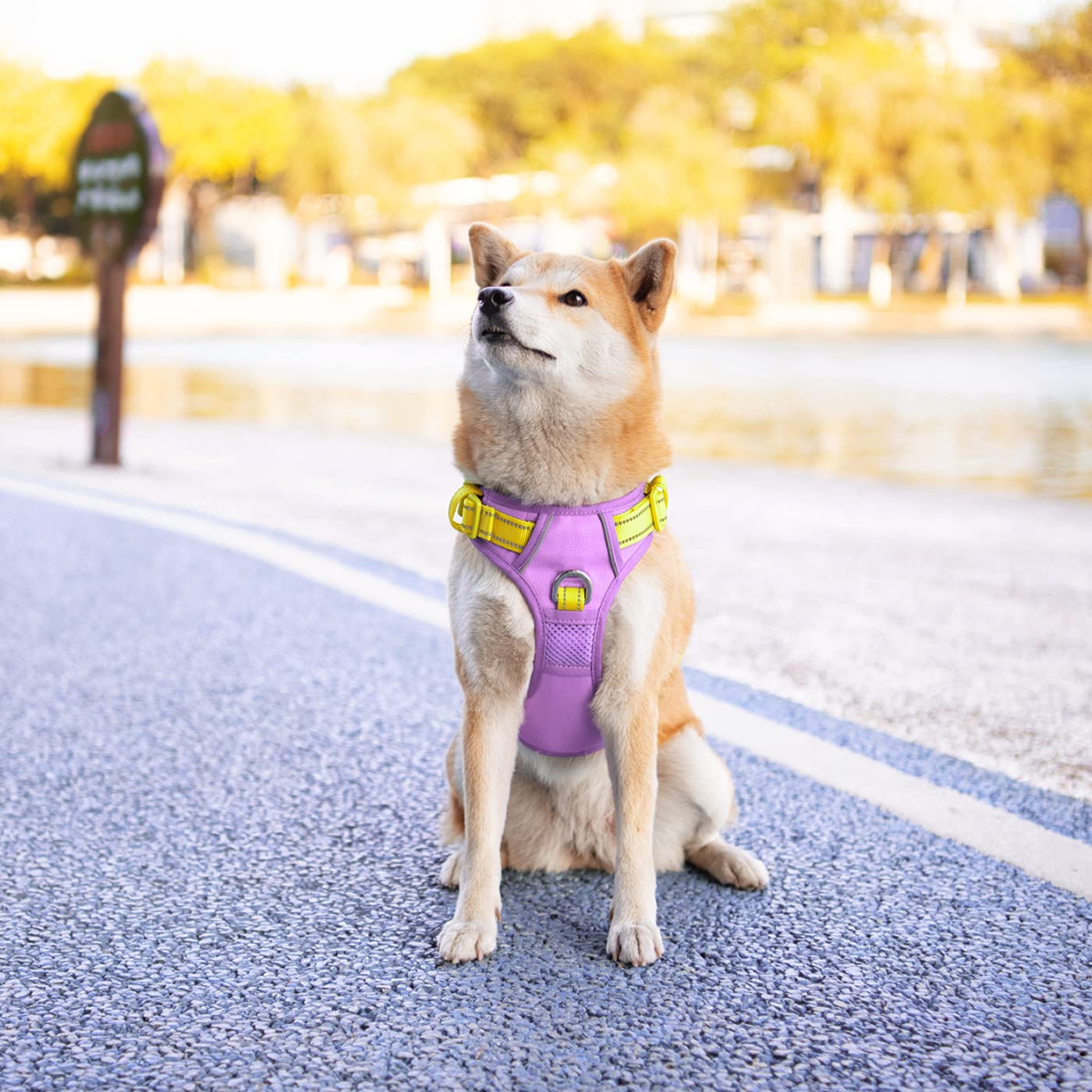 PHOEPET mango trasero suave, ayuda a controlar al perro con comodidad.