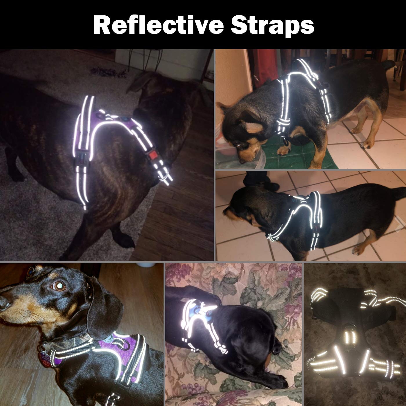 PHOEPET material reflectante para mayor visibilidad nocturna