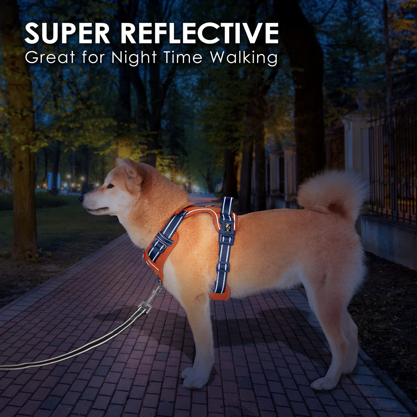 PHOEPET perro con arnés durante paseo al aire libre, seguridad y comodidad.