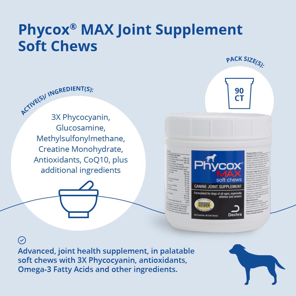 Phycox MAX masticables perro en acción gracias a mayor movilidad