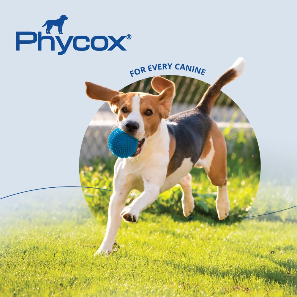 Phycox MAX masticables perro feliz tras comenzar suplemento