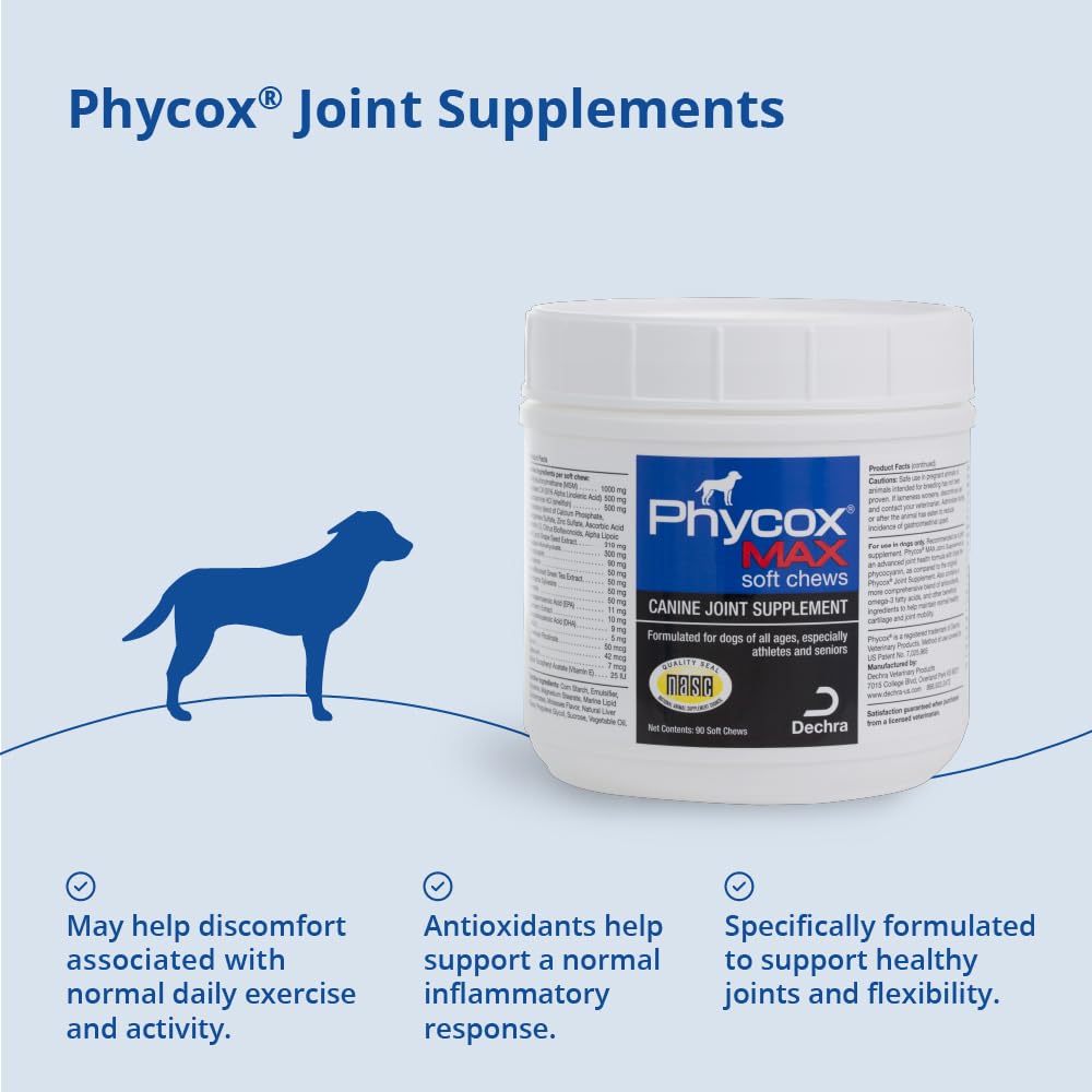 Phycox MAX masticables perro moviéndose con facilidad