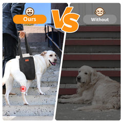 PICK FOR LIFE: correa de elevación trasera para perro grande, ayuda a moverse y apoyar las patas.