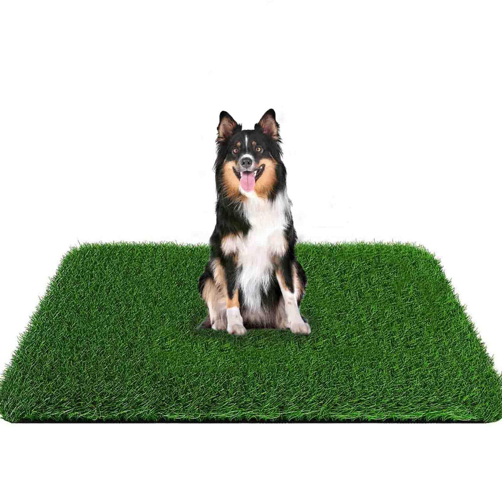 PICK FOR LIFE Tapete de césped para perros; césped amplio para entrenamiento en interiores.