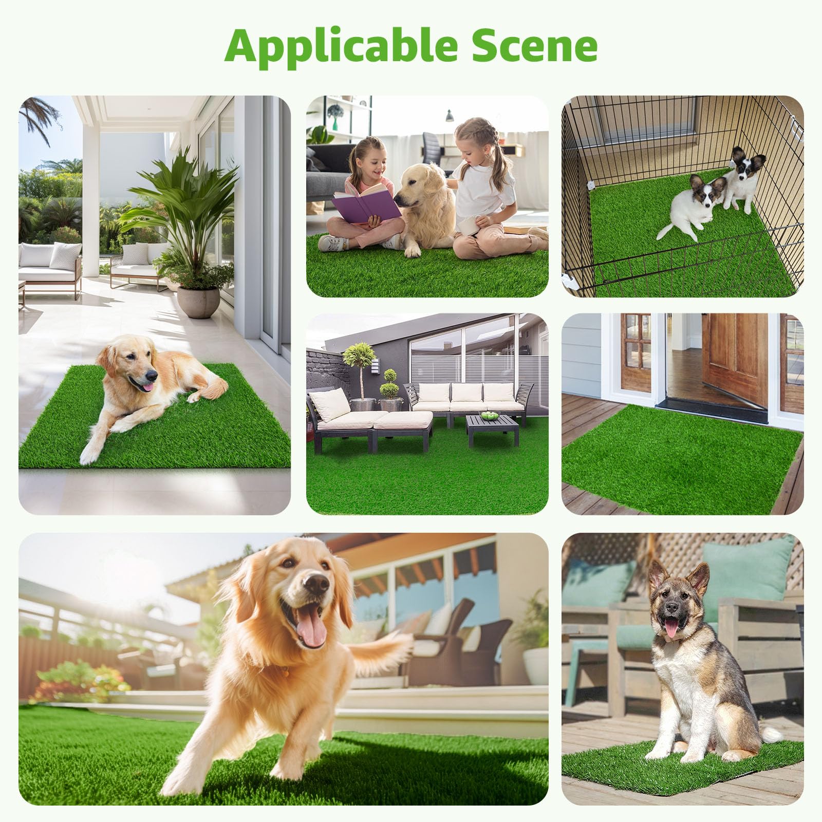 Pick For Life: guía de uso, instrucciones simples para entrenar al perro a orinar en la hierba.