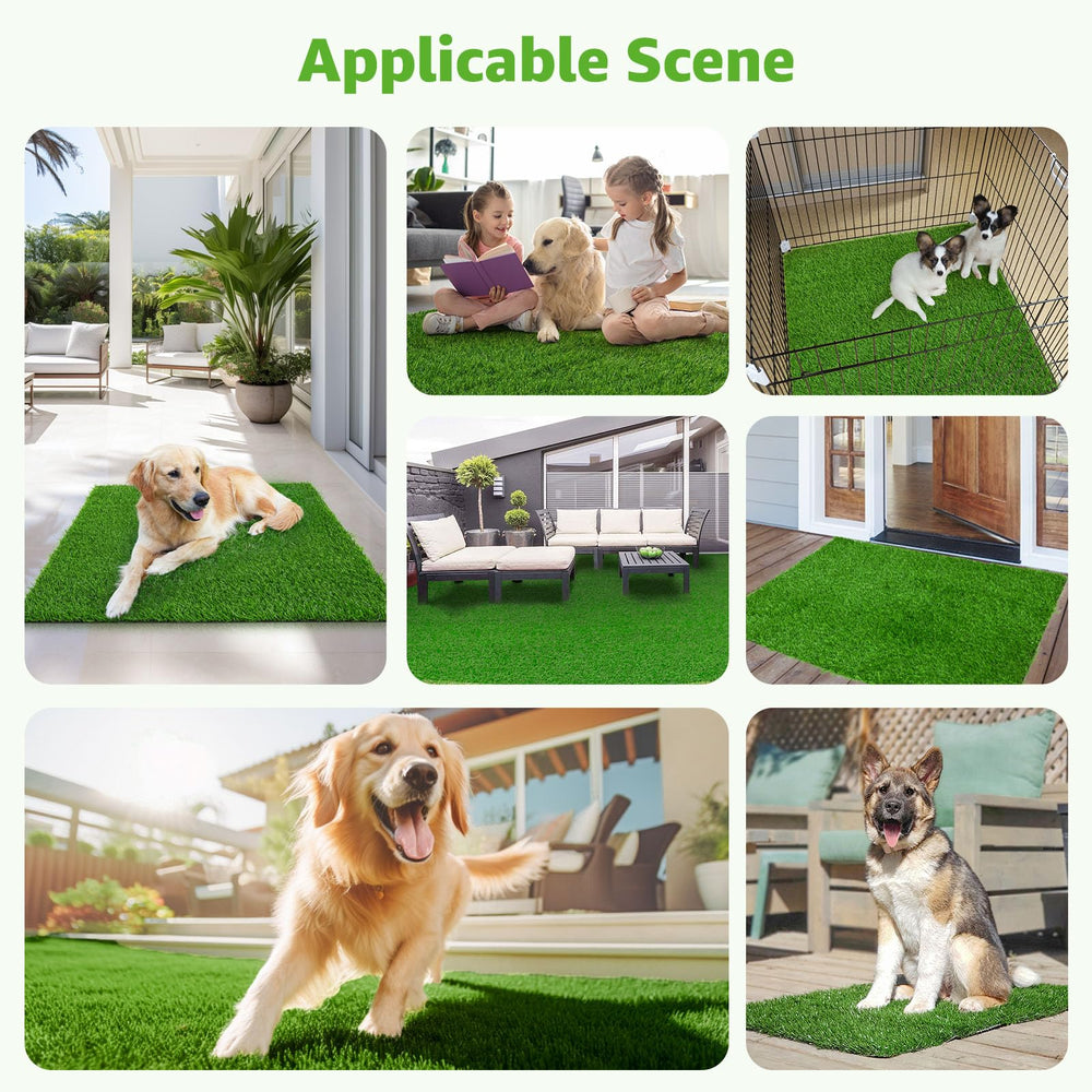Pick For Life: guía de uso, instrucciones simples para entrenar al perro a orinar en la hierba.