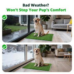 PICK FOR LIFE: pasto artificial para perros fácil de limpiar tras uso