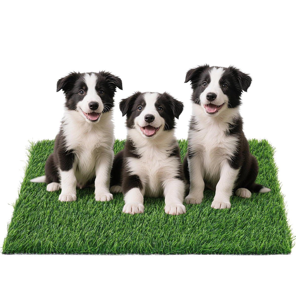 PICK FOR LIFE: pasto artificial para perros, pad frontal para entrenamiento