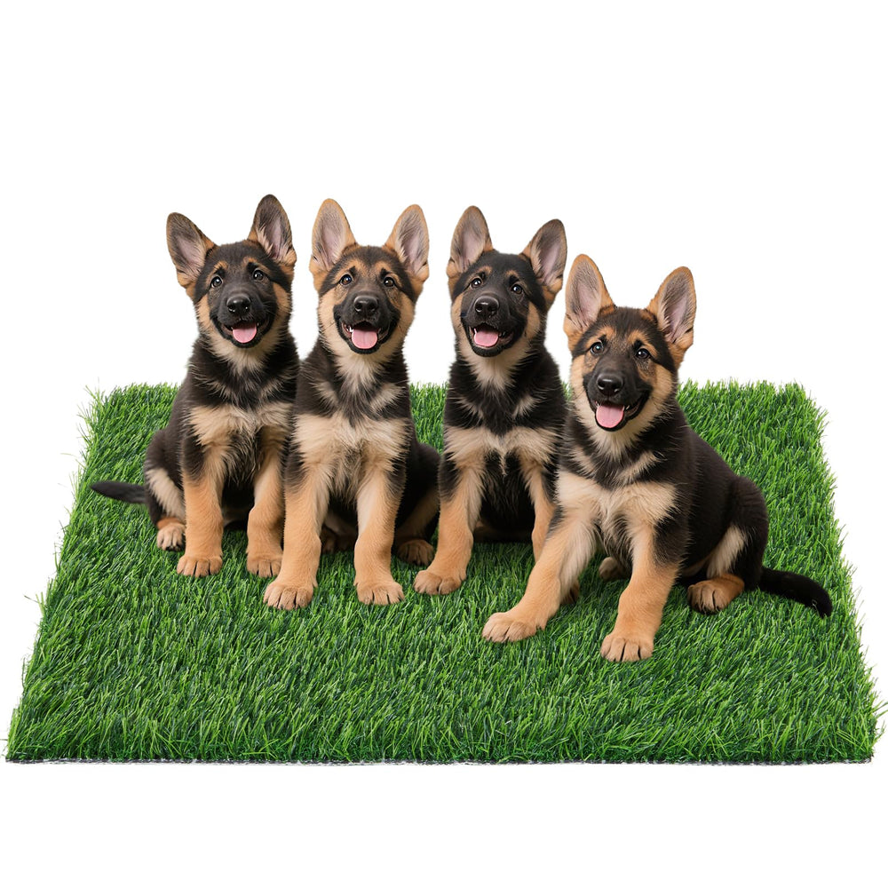 PICK FOR LIFE: pasto artificial para perros uso interior y entrenamiento suave