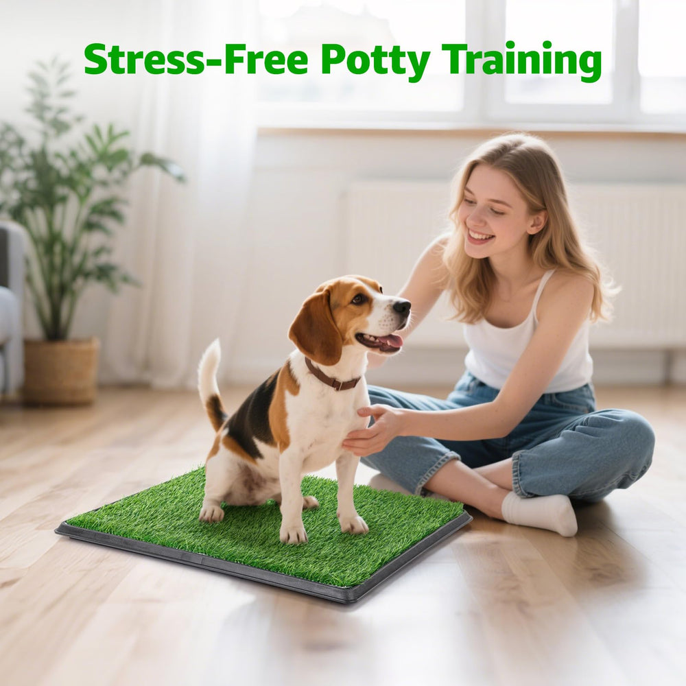 PICK FOR LIFE: diseño compacto para perros pequeños.