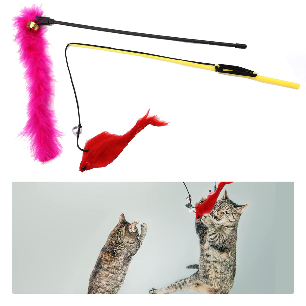 PietyPet caña de pesca: promueve movimiento y juego compartido.