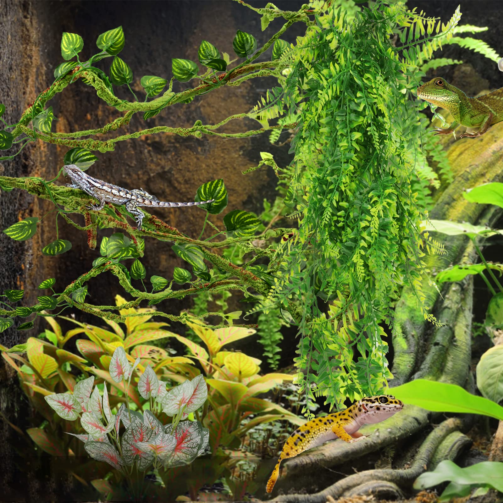PietyPet conjunto-ventosas-y-plantas facilita el montaje y mantenimiento del terrario.