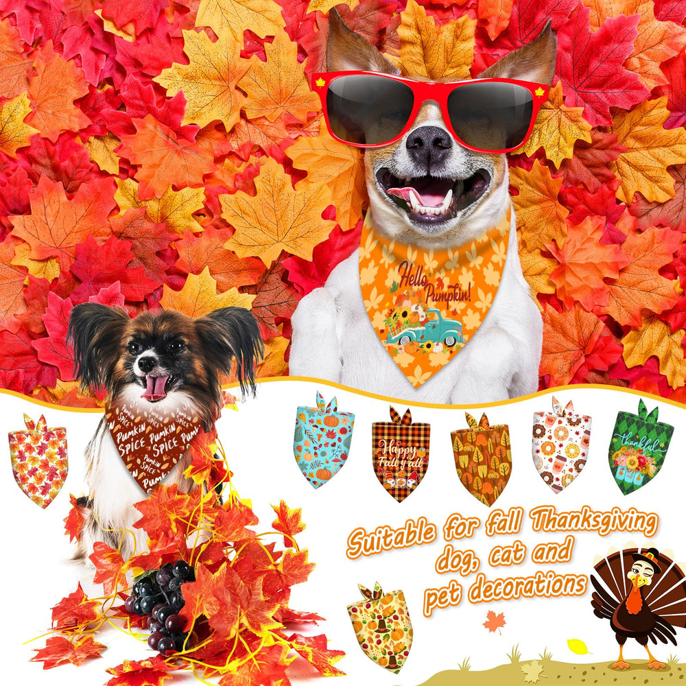 Accesorios decorativos Piklodo para grooming.