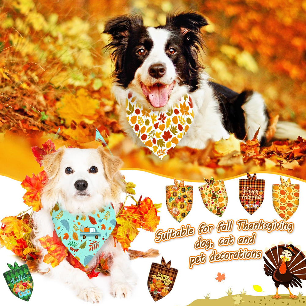 Piklodo bandanas para perros: lavado fácil y duraderas para cuidado diario.