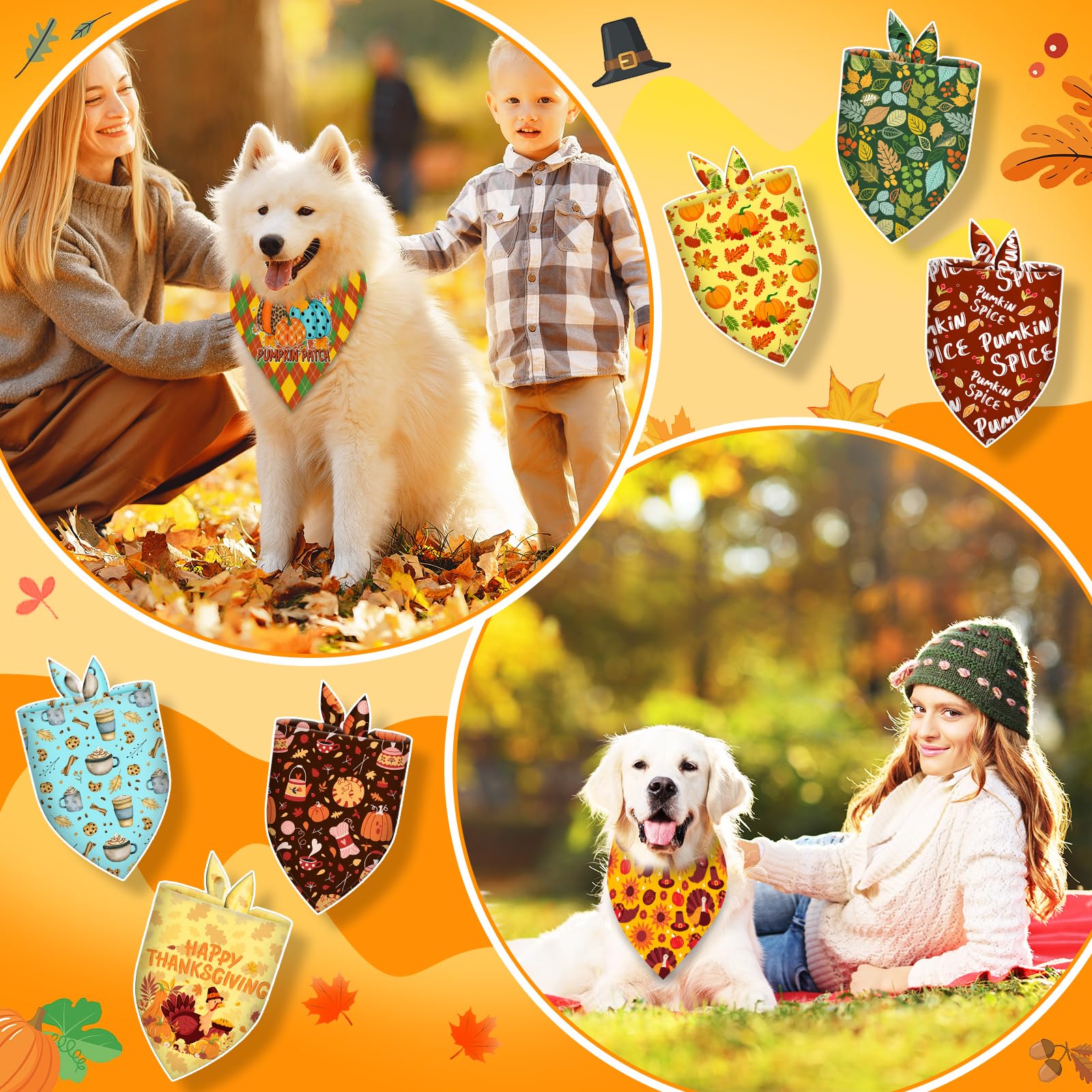 Piklodo bandanas para perros: uso en fotografía para retratos encantadores.