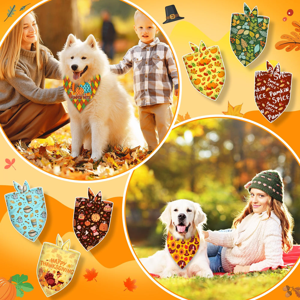 Piklodo bandanas para perros: uso en fotografía para retratos encantadores.