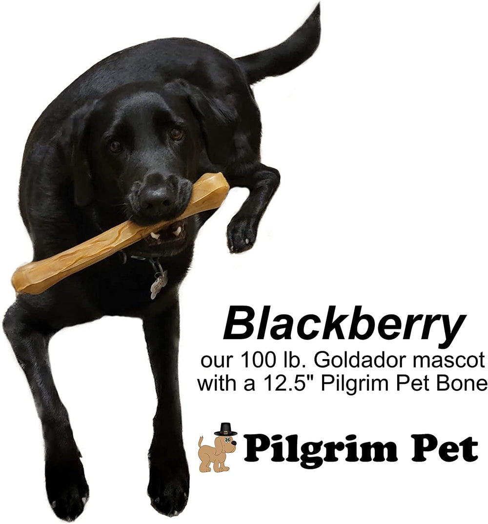 Pilgrim Pet hueso de cuero crudo, ideal como premio diario para perros de todas las tallas.