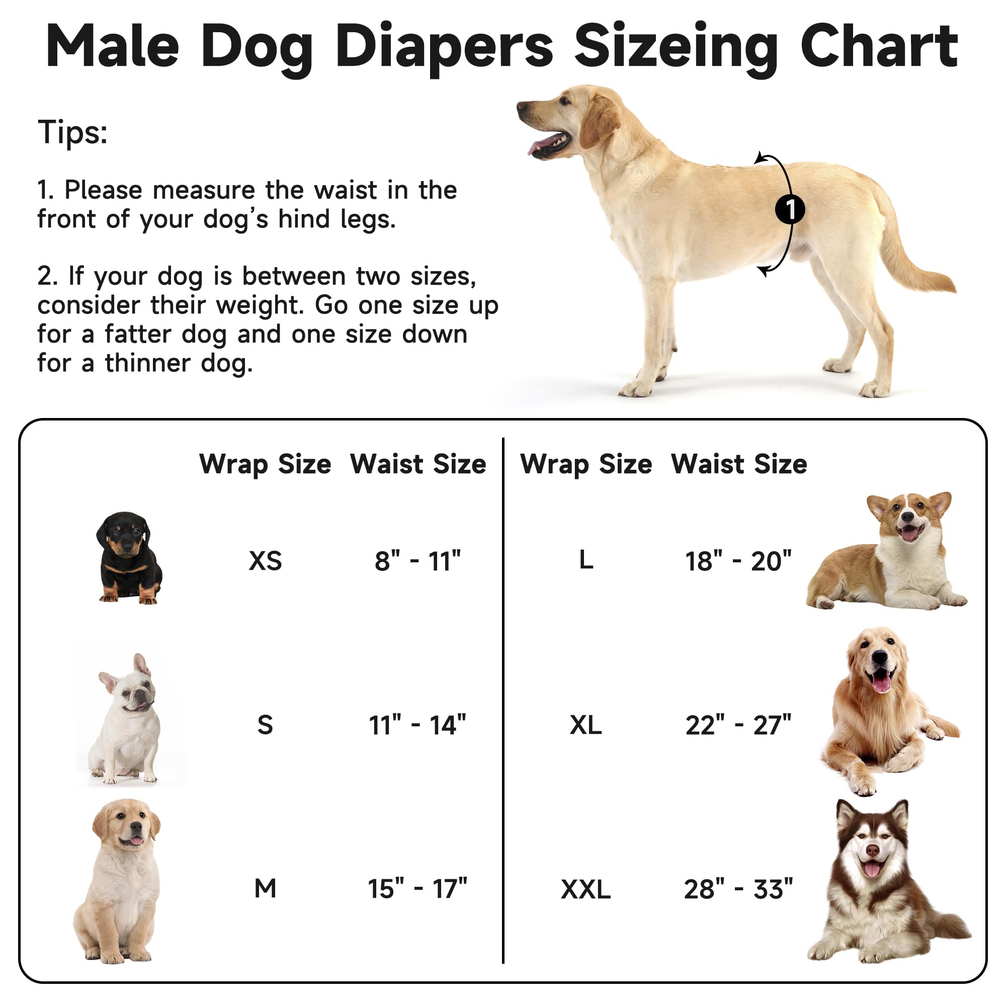 Pilviset Dino L banda abdominal con ajuste y velcro