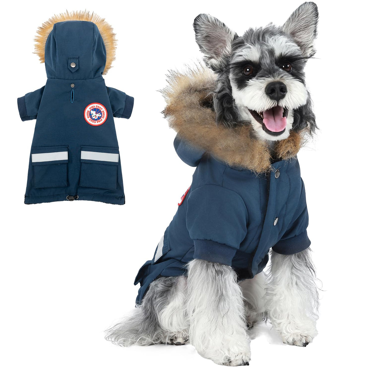Capa impermeable Pina para perro pequeño, protege de lluvia y viento.