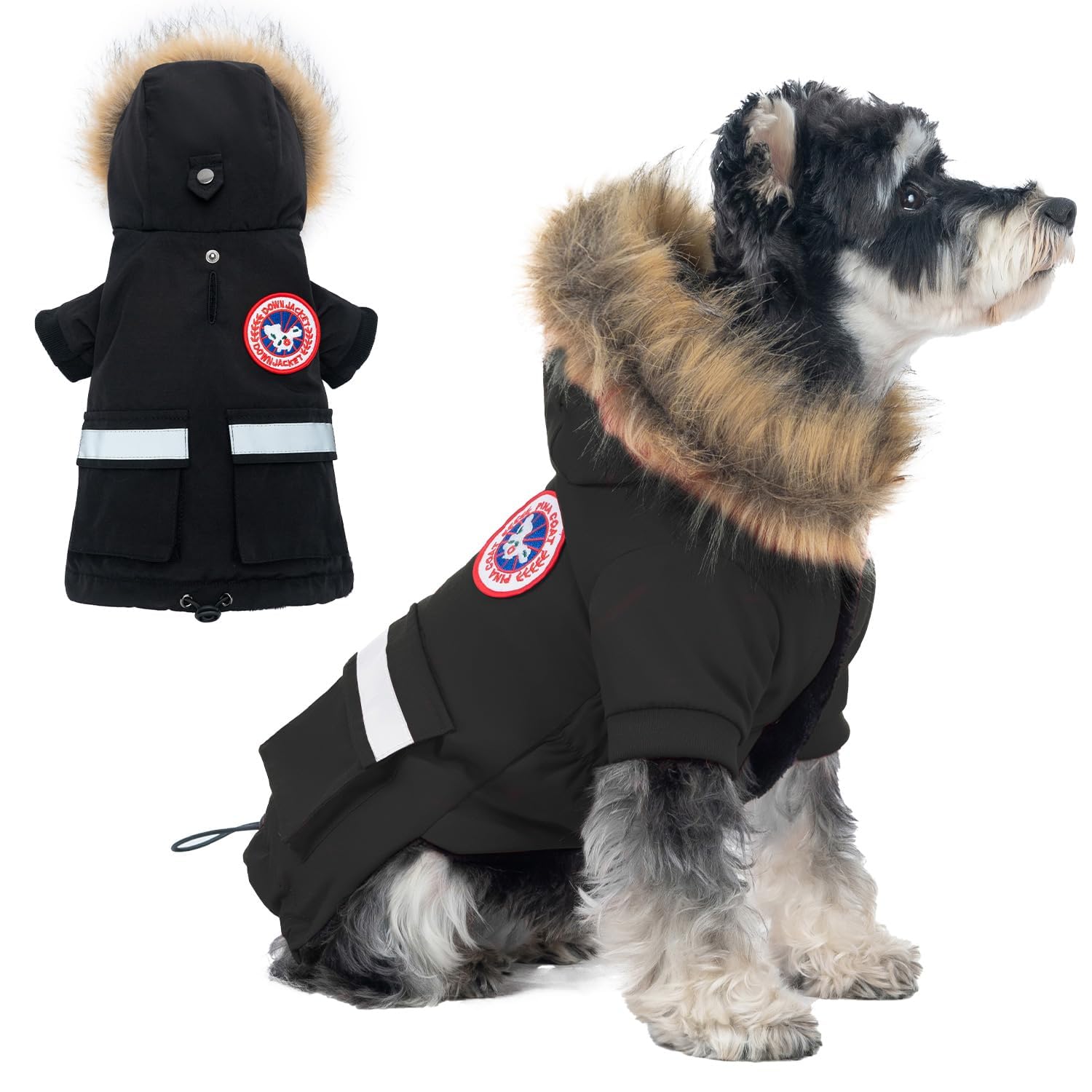 Pina capa impermeable para perro pequeño, ideal para paseos bajo lluvia.