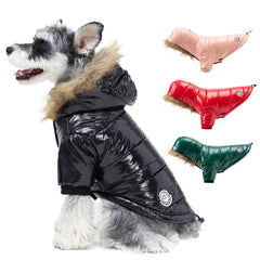 Chaqueta PINA para perro con capucha de pelo artificial, abriga durante paseos fríos.