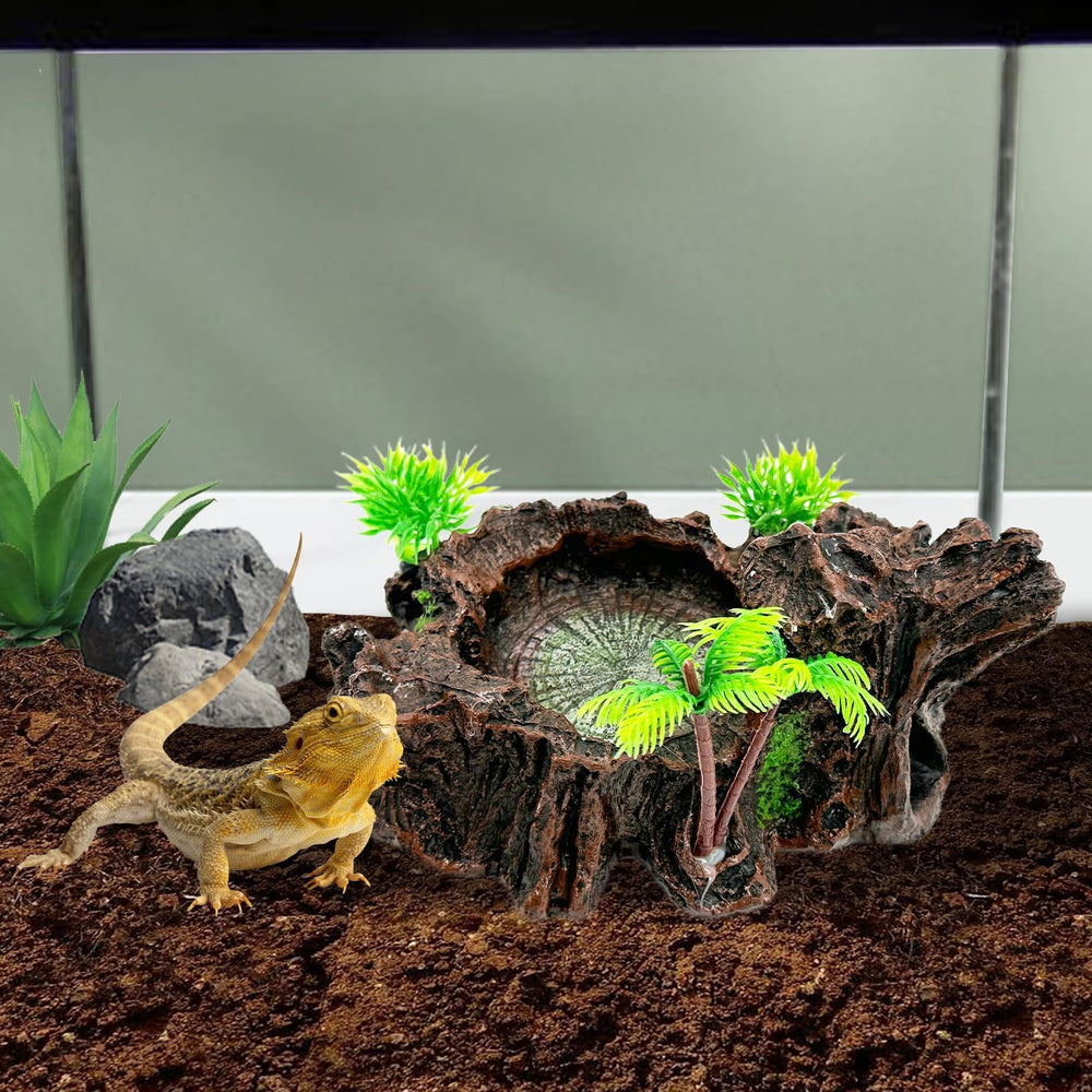 Ambiente de terrario PINVNBY mejorado con estética natural.