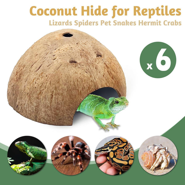 Coco natural PINVNBY para un entorno seguro y estimulante