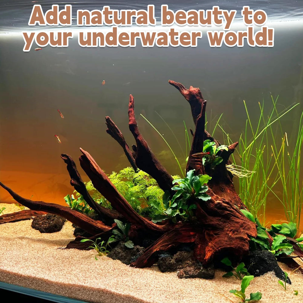 PINVNBY deriva natural duradera para tanque, añade durabilidad y belleza