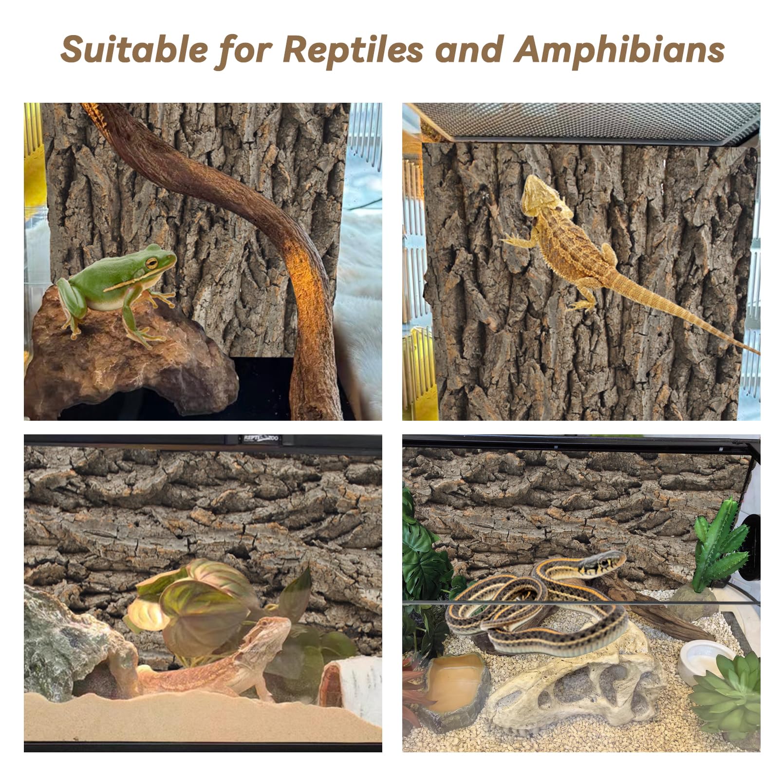 PINVNBY dimensiones 15,75 x 11,81 pulgadas, aptas para reptiles pequeños.