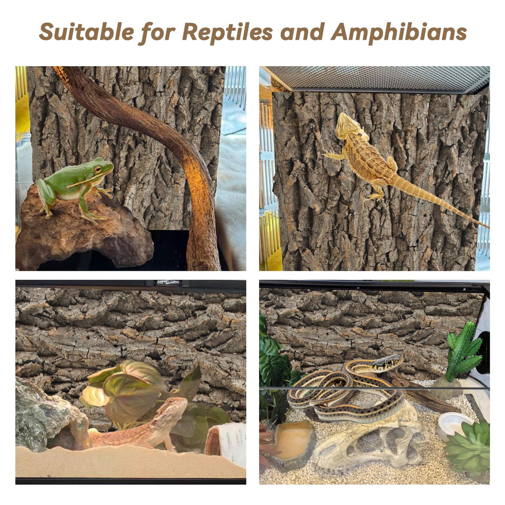 PINVNBY dimensiones 15,75 x 11,81 pulgadas, aptas para reptiles pequeños.