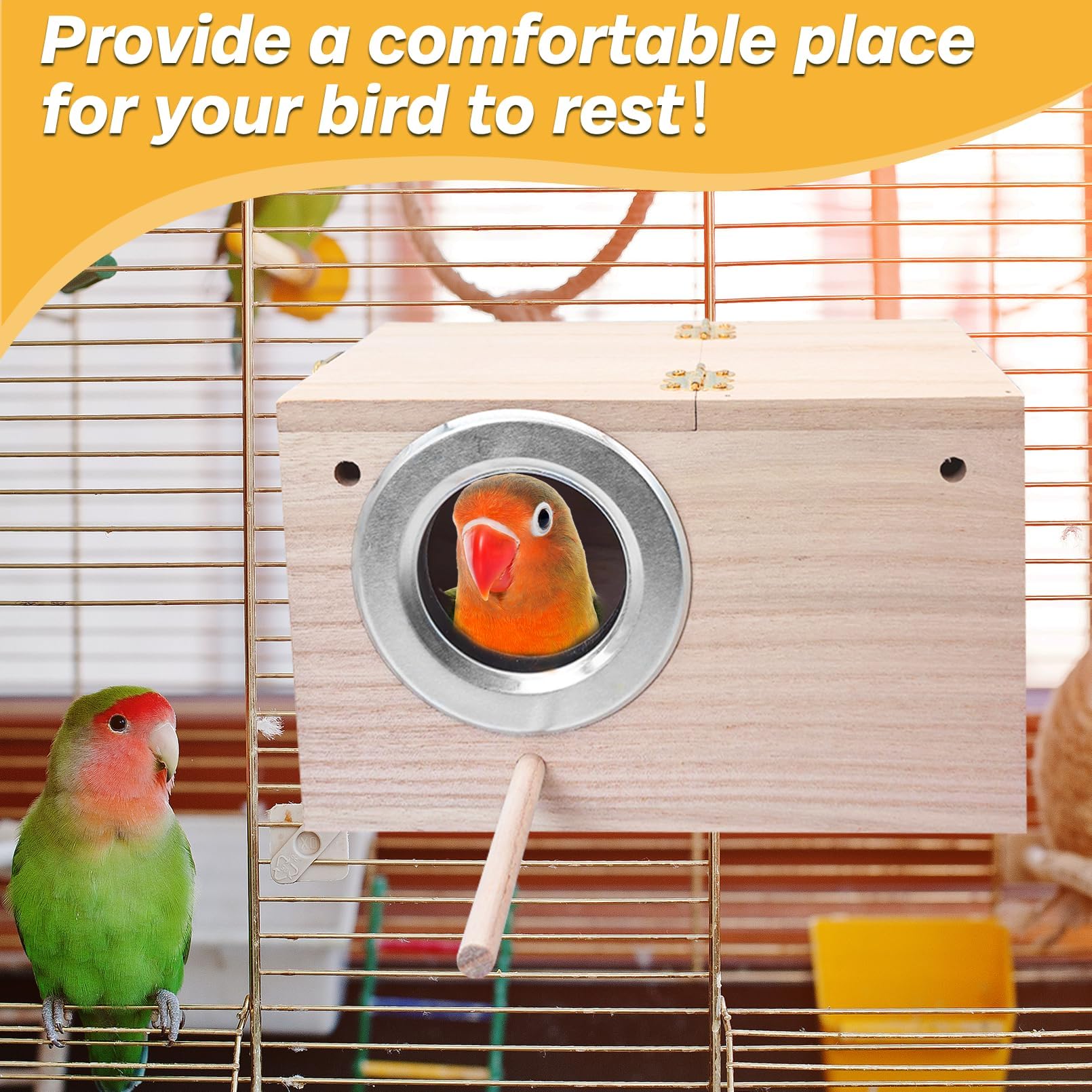 PINVNBY nido de cría: dimensiones adecuadas para aves pequeñas y medianas