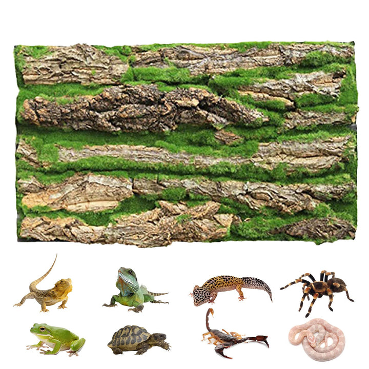 PINVNBY fondo terrario de corcho natural para reptiles, ambiente seguro y estético.