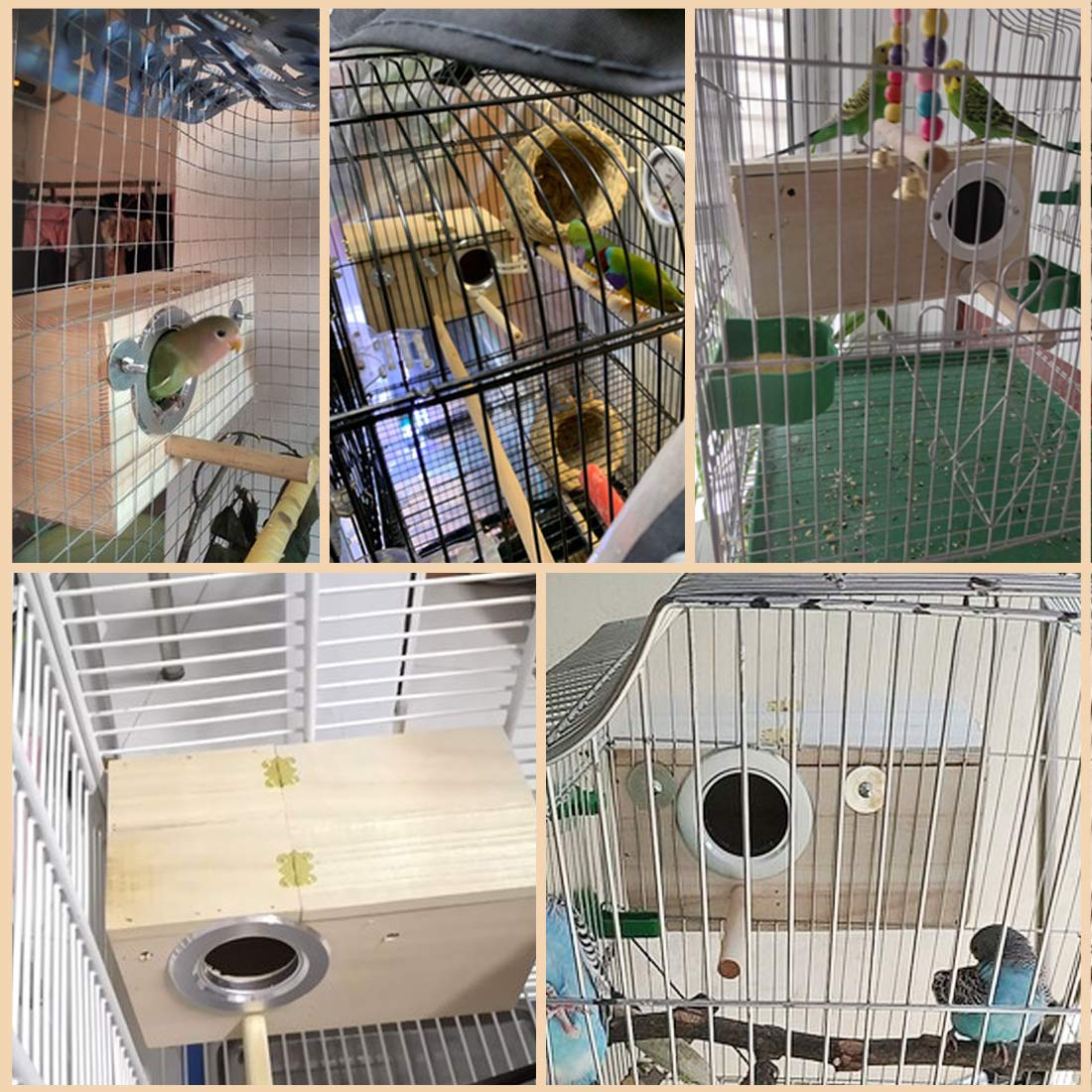PINVNBY nido para aves pequenas en tres tallas