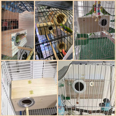 PINVNBY nido para aves pequenas en tres tallas
