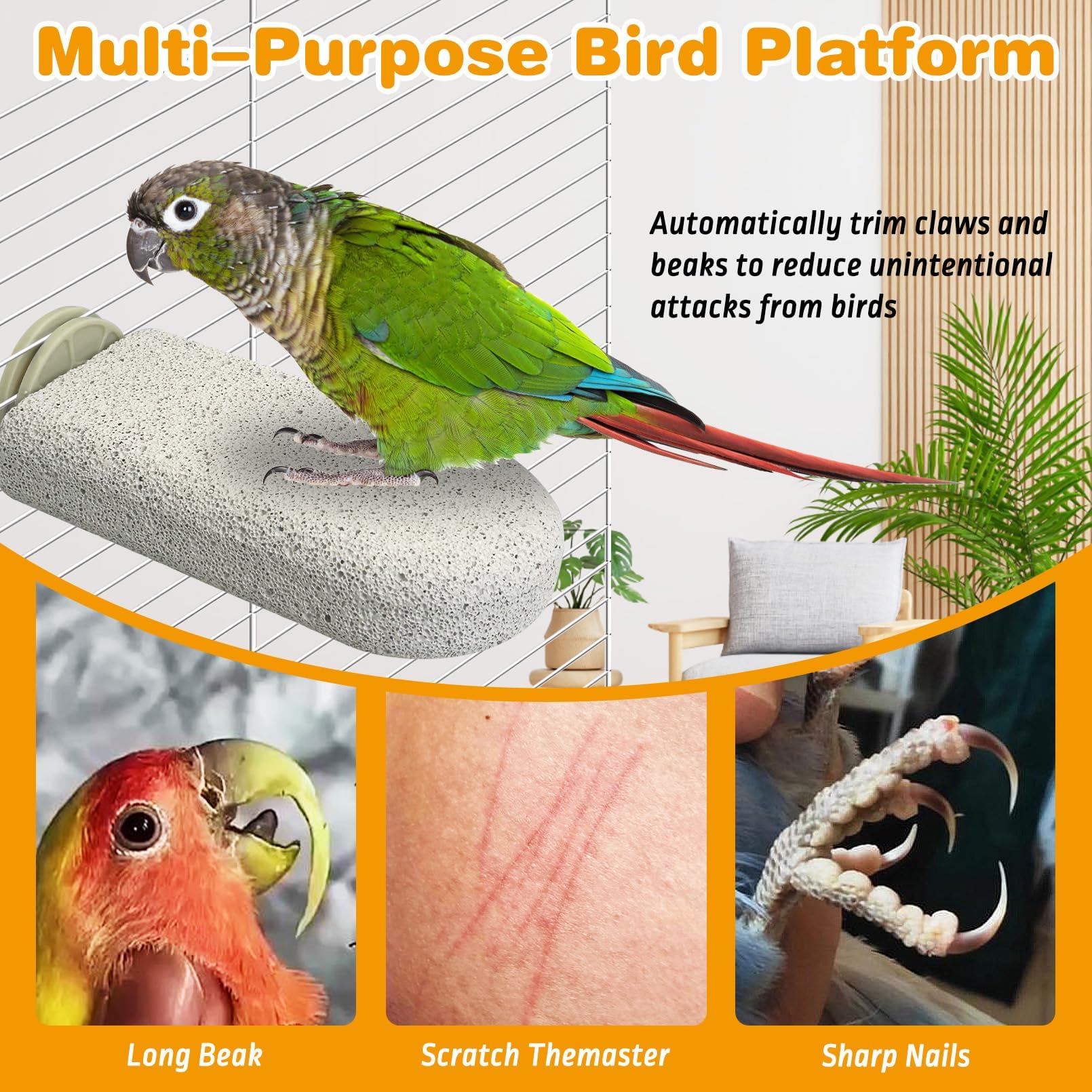 PINVNBY percha-pajaro-uso-multiples: plataforma adicional y afila pico