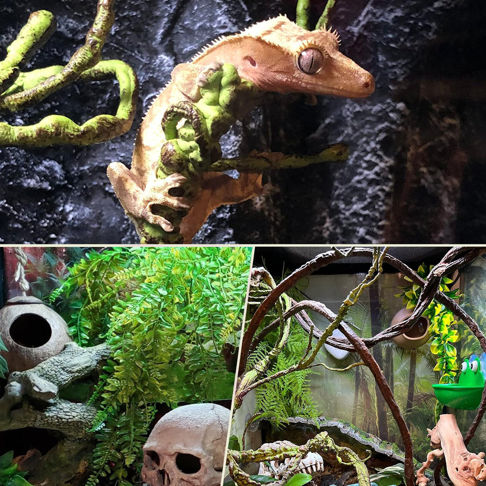 PINVNBY enredaderas para terrario, hábitat seguro y visualmente atractivo.