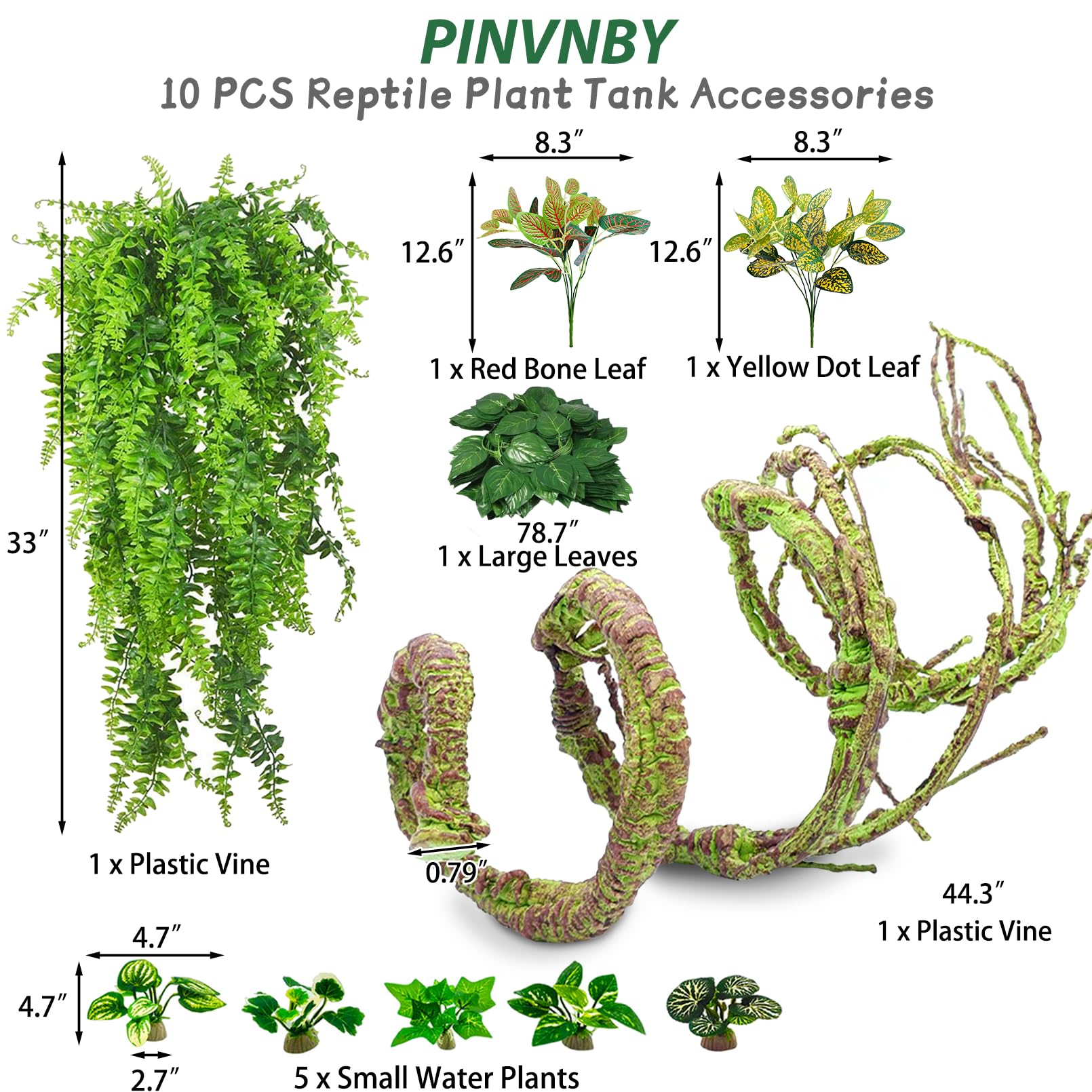 PINVNBY conjunto para crear un terrario natural y estimulante.