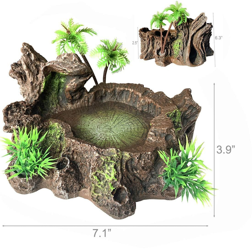Plataforma de resina PINVNBY en el terrario para tomar el sol.