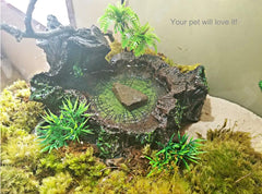 Plato de alimento PINVNBY para reptiles, fomenta exploración y ejercicio.