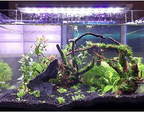 PINVNBY Ramas para acuario: ornamento decorativo de calidad