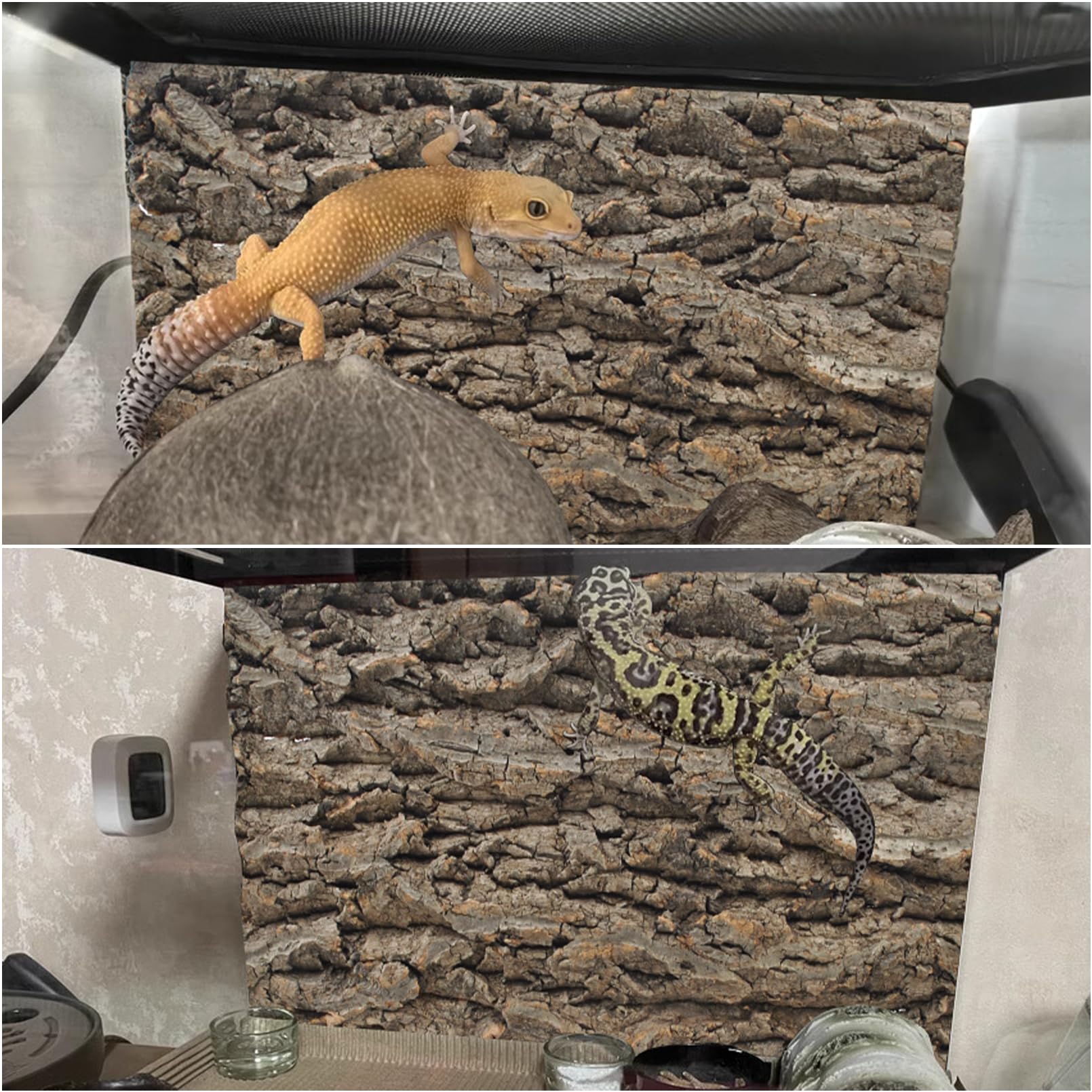 PINVNBY superficie 3D de corcho para trepar, estimula exploración segura.