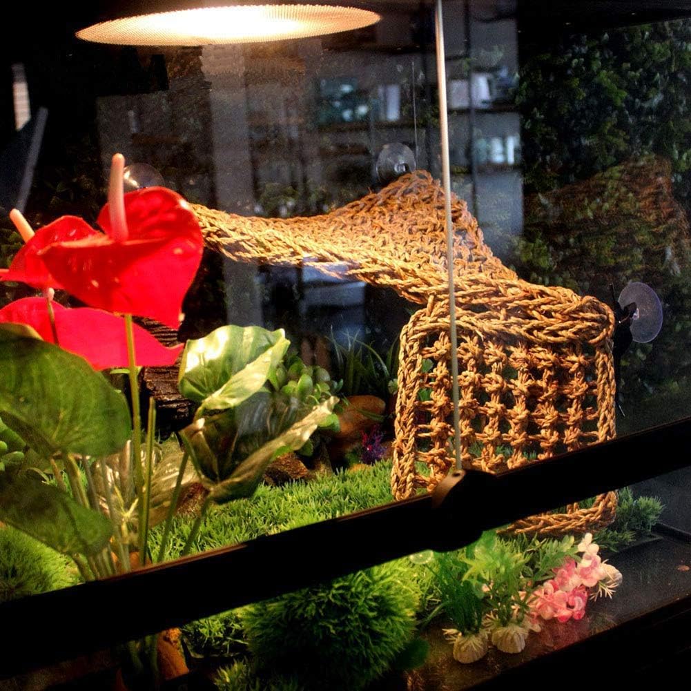 PINVNBY fijación en pared del terrario para múltiples posiciones
