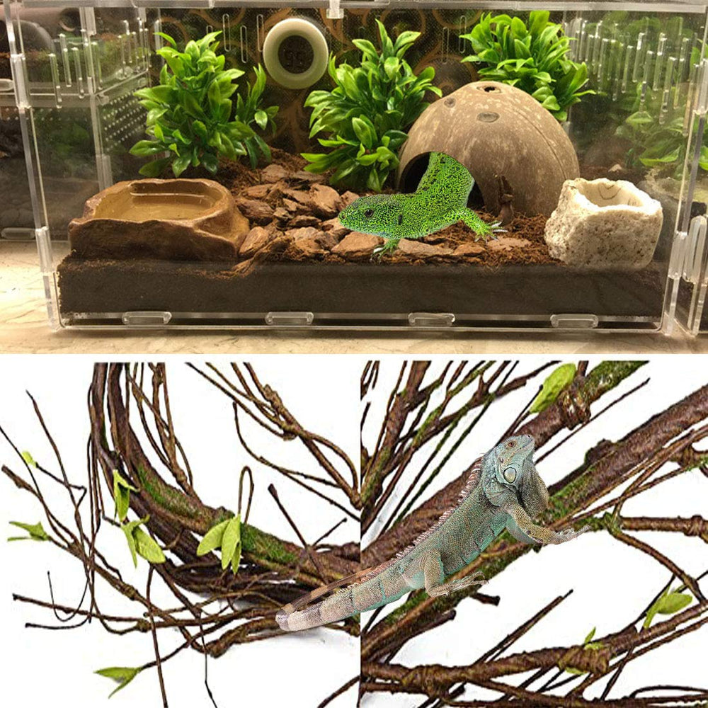 PINVNBY ventosas para terrario permiten fijar accesorios de forma segura