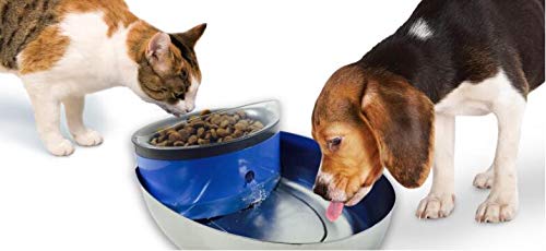 Pioneer Pet: filtro en T de larga duración para fuente.