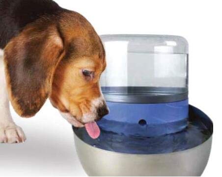 Pioneer Pet: mantenimiento sencillo de la fuente con filtro en T.